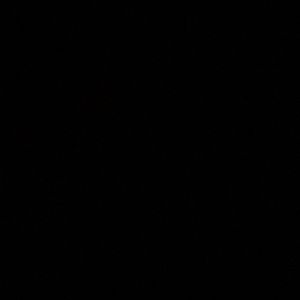 Meet your Posher, Kahli